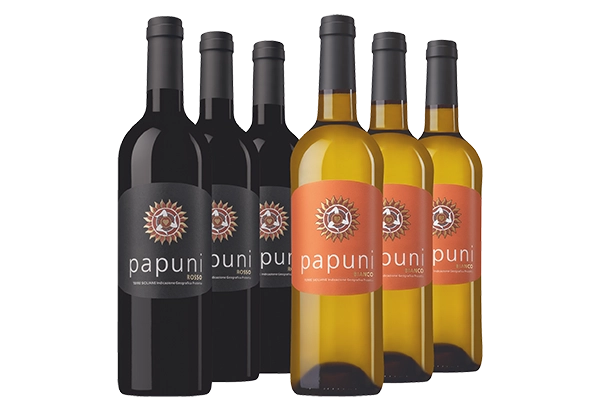 Papuni Schweizer Hauseigentümer  05.26