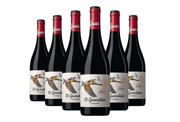 6 x El Guardian touring 03.26